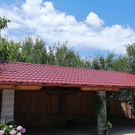 House Mihaela&Nina Appartement Selište Drežničko Buitenkant foto