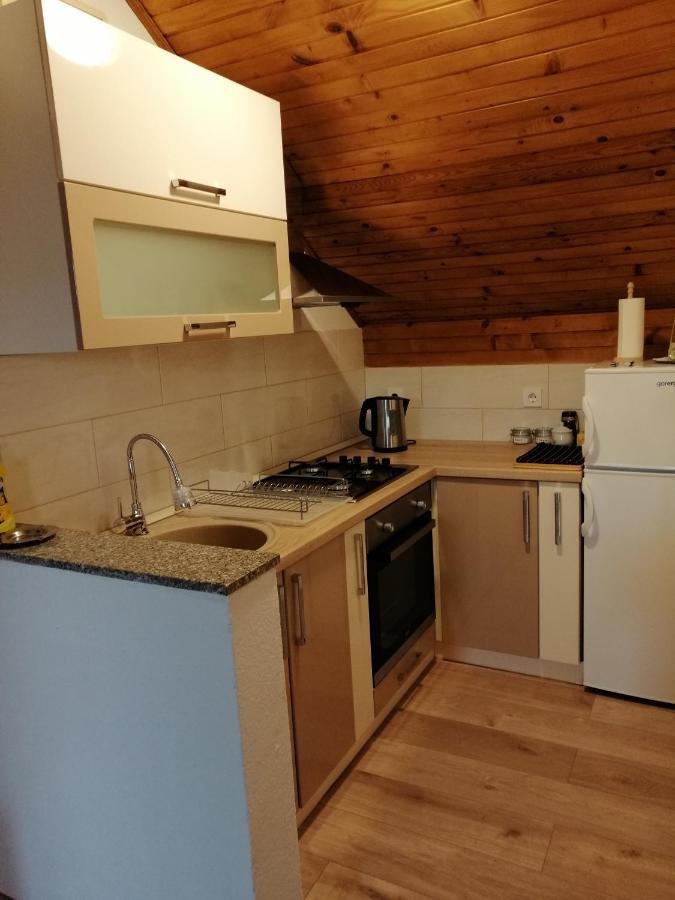 House Mihaela&Nina Appartement Selište Drežničko Buitenkant foto