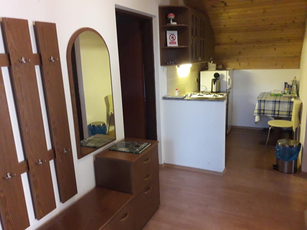 House Mihaela&Nina Appartement Selište Drežničko Kamer foto