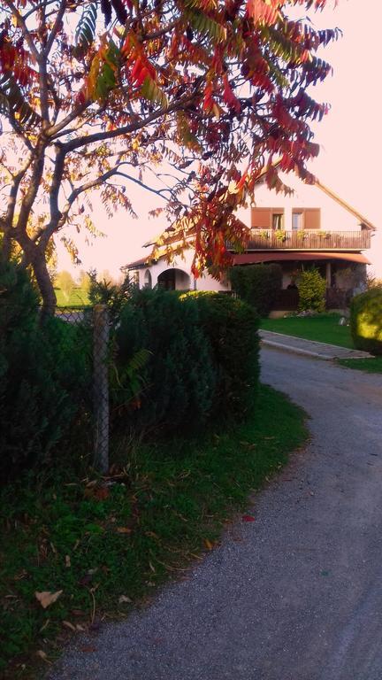 House Mihaela&Nina Appartement Selište Drežničko Buitenkant foto