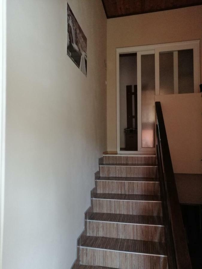 House Mihaela&Nina Appartement Selište Drežničko Buitenkant foto