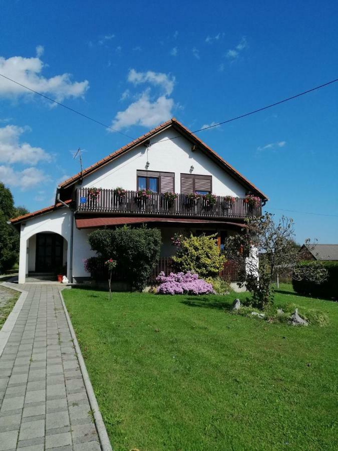 House Mihaela&Nina Appartement Selište Drežničko Buitenkant foto